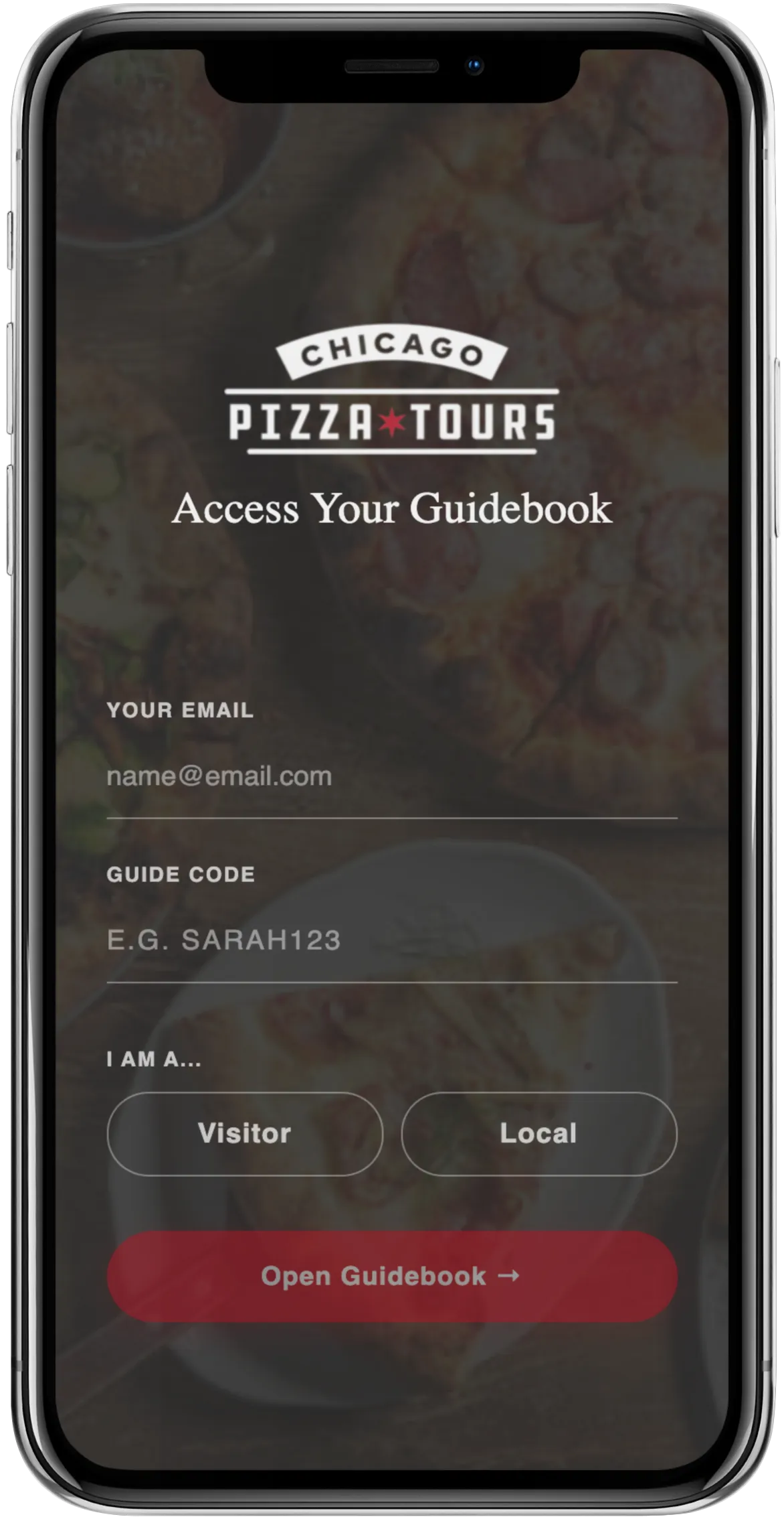 Guidebook access page with email capture