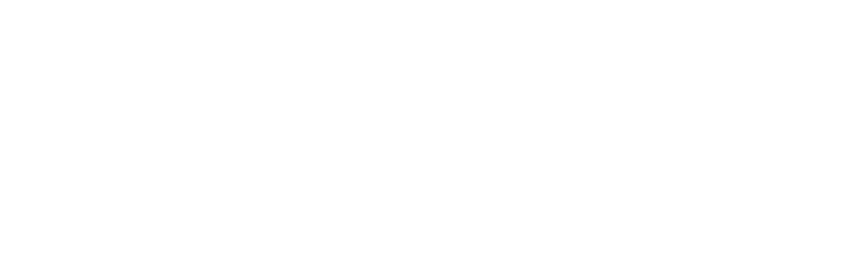 Digital Guidebooks